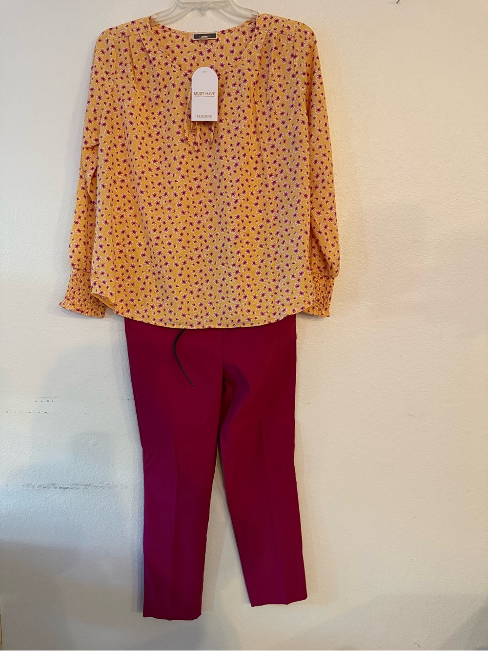 Magenta Cropped Ankle Pants with Pleione Top